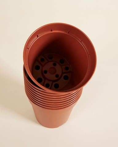 Satz mit 10 Anzuchttöpfe Ø 12 cm Productset