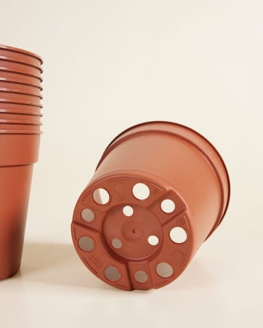 Satz mit 10 Anzuchttöpfe Ø 12 cm Productset