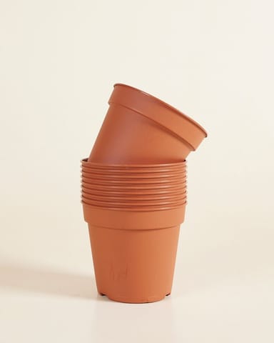 Satz mit 10 Anzuchttöpfe Ø 15 cm Productset