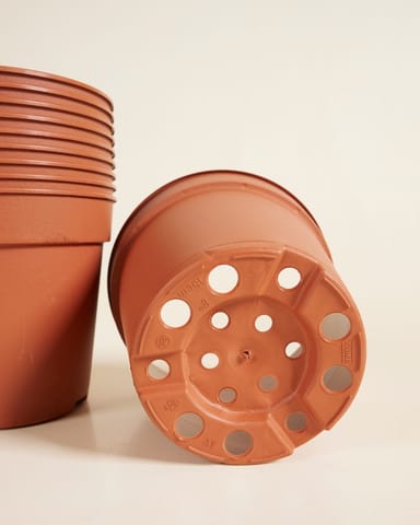 Satz mit 10 Anzuchttöpfe Ø 15 cm Productset