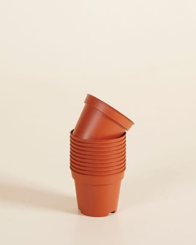 Satz mit 10 Anzuchttöpfe Ø 6 cm Productset