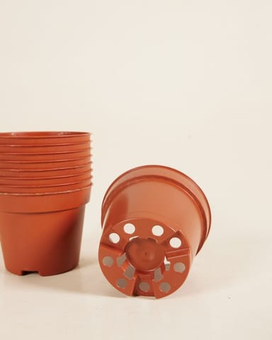 Satz mit 10 Anzuchttöpfe Ø 6 cm Productset