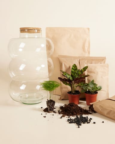 Bello Terrarium Medium Startset productset