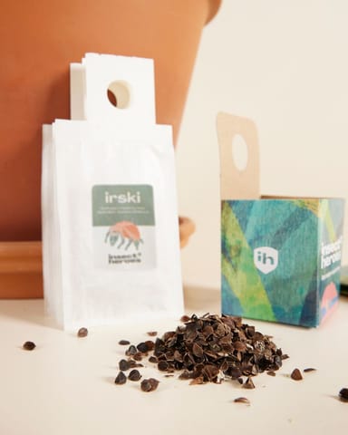 Schädlingsbekämpfungs-Kombiangebot: Thripsen Carna + Irski