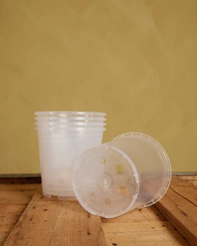 Satz mit 5 Anzuchttöpfe Transparent Ø 12 cm Productset
