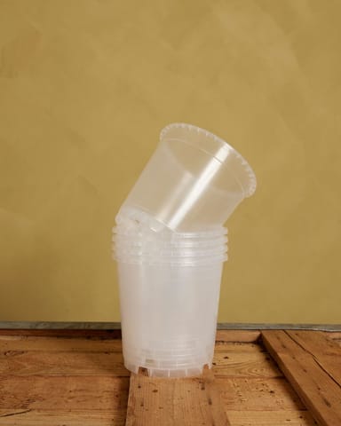 Satz mit 5 Anzuchttöpfe Transparent Ø 15 cm Productset