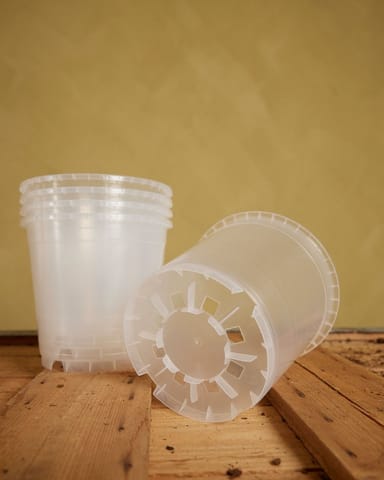 Satz mit 5 Anzuchttöpfe Transparent Ø 15 cm Productset