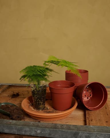 Satz mit 5 Anzuchttöpfe Ø 12 cm Productset