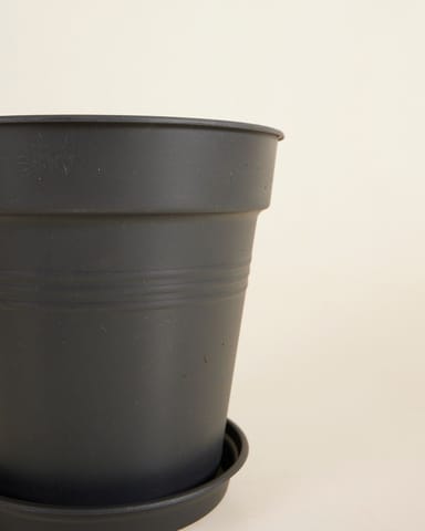 Elho Hagrid Grow Pot Productset