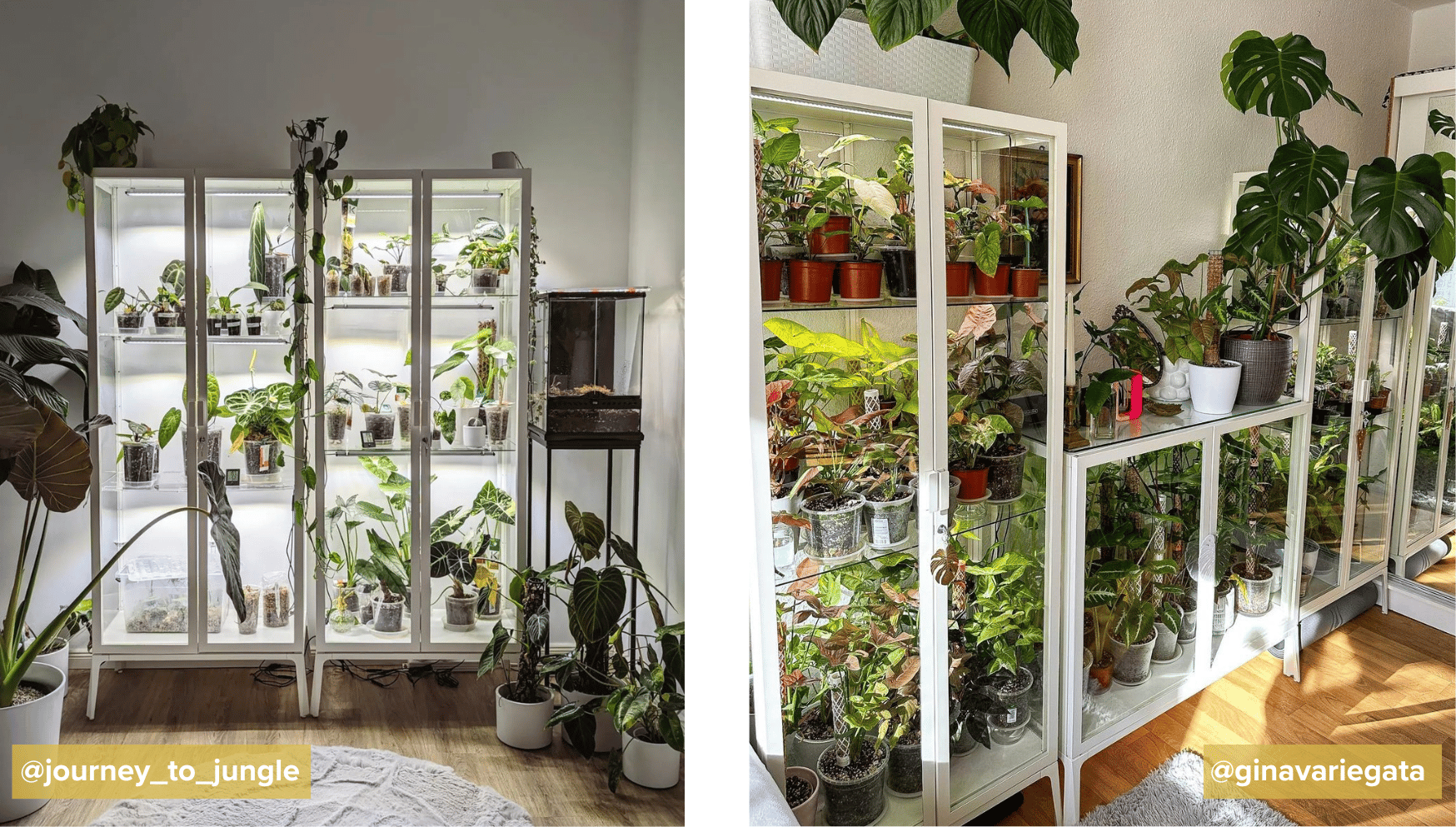 Milsbo greenhouse