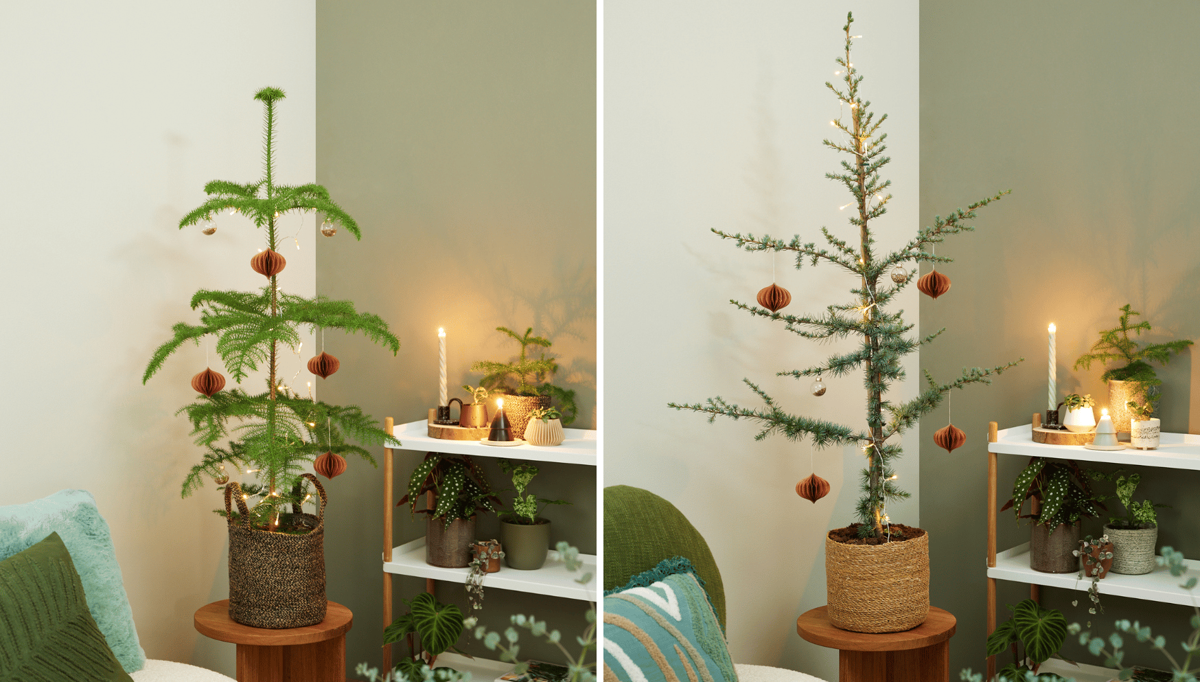 Mini alberi di Natale