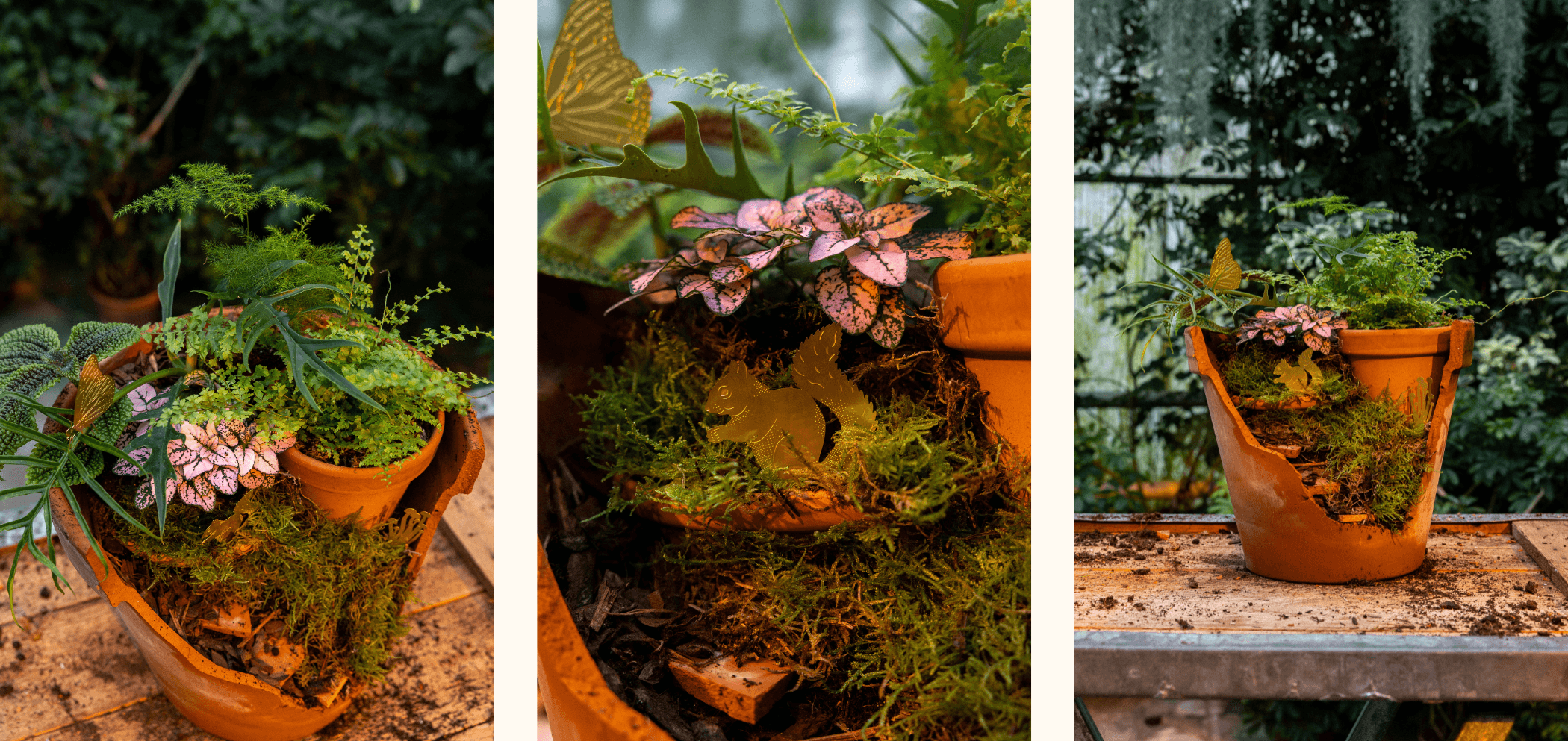 End result fairy garden