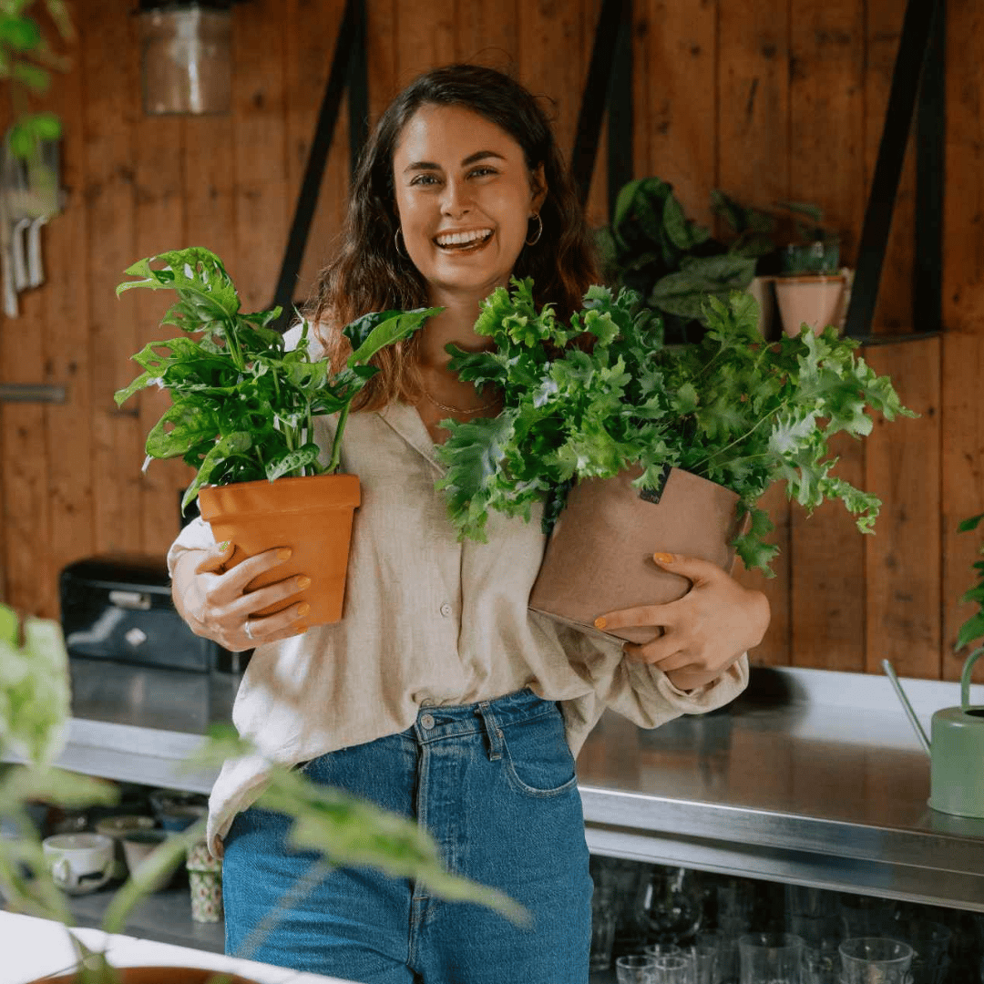 Plant care per family