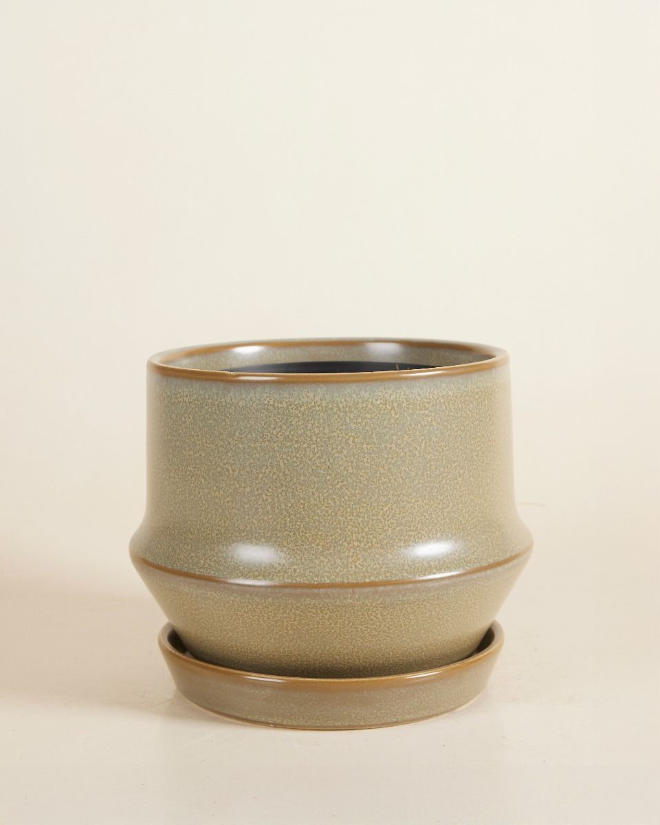 Jent Topf Minze Ø 21 cm