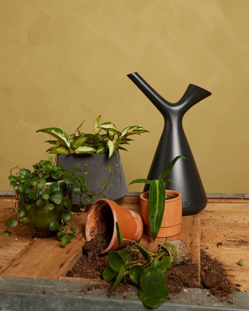 Elho Plunge Gießkanne Schwarz 1.7 l