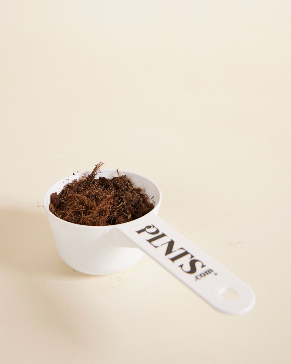 PLNTS Measuring cup 100 ML