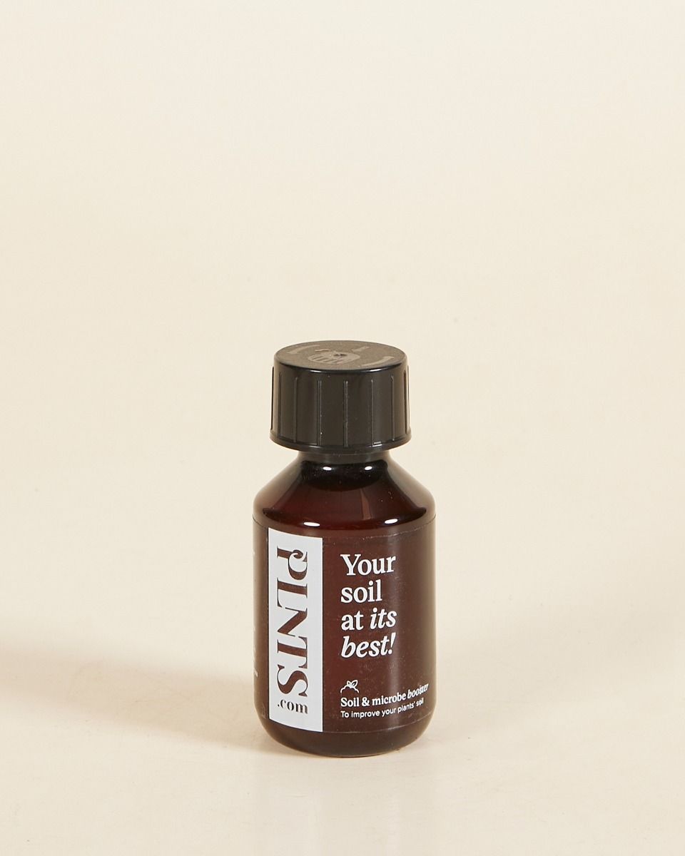 PLNTS Boden & Mikrobenverstärker 100 ML