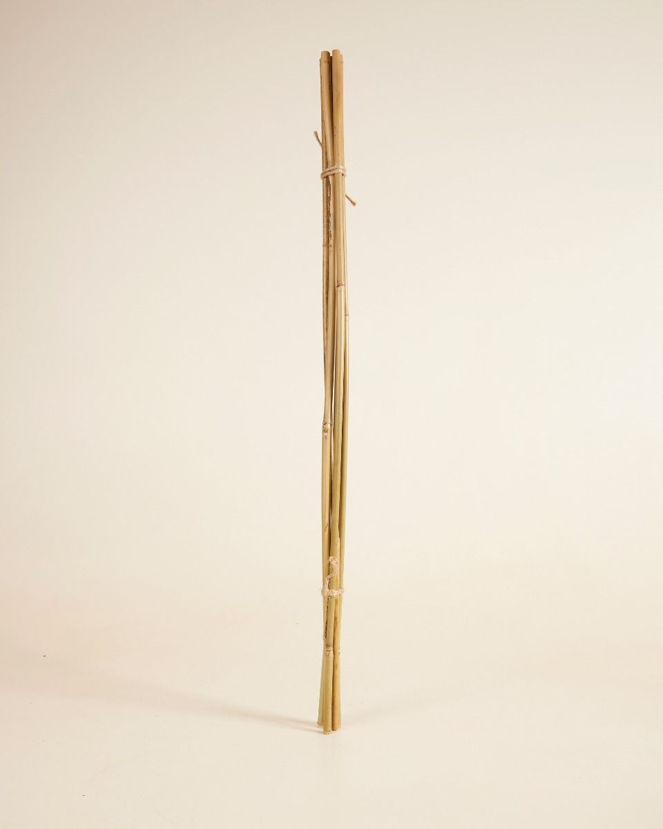 Bambusstab 70 cm 5 Stück