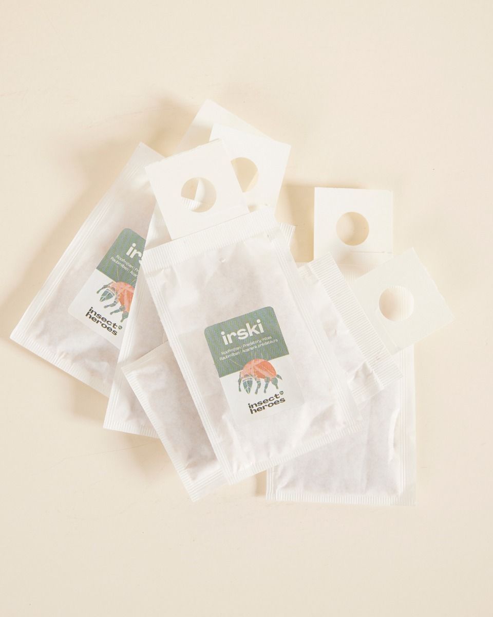Biologische Schädlingsbekämpfung: Thripse Irski (set of 5)