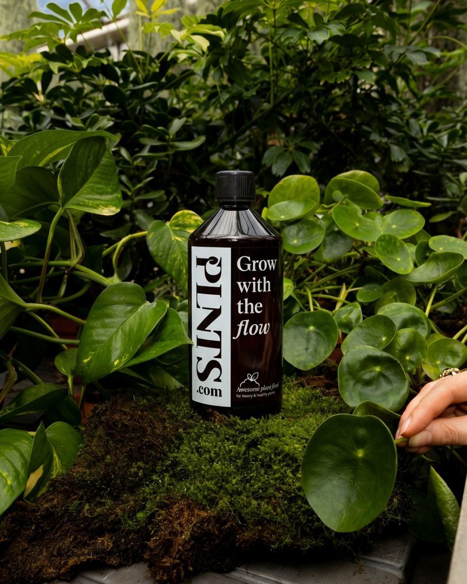 PLNTS Nutrition 1 liter