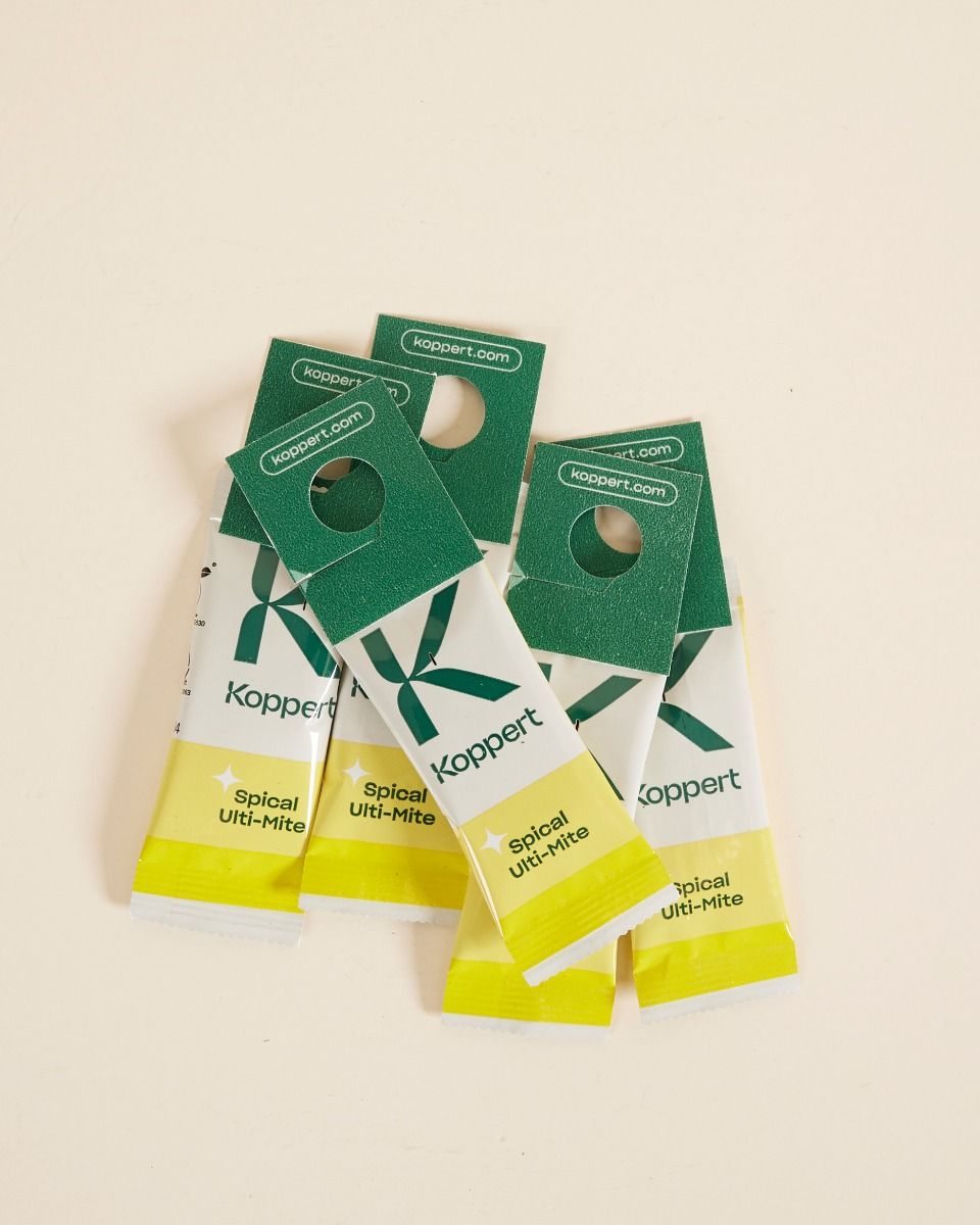 Biologische Schädlingsbekämpfung: Spinmilben  Nicus (set of 5)