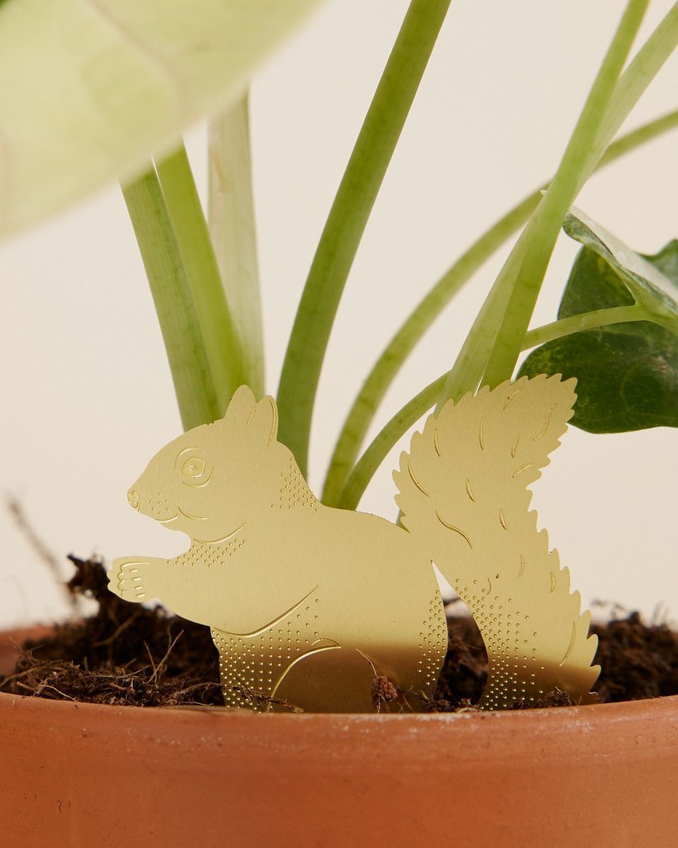 Carol Raupe Plant buddy