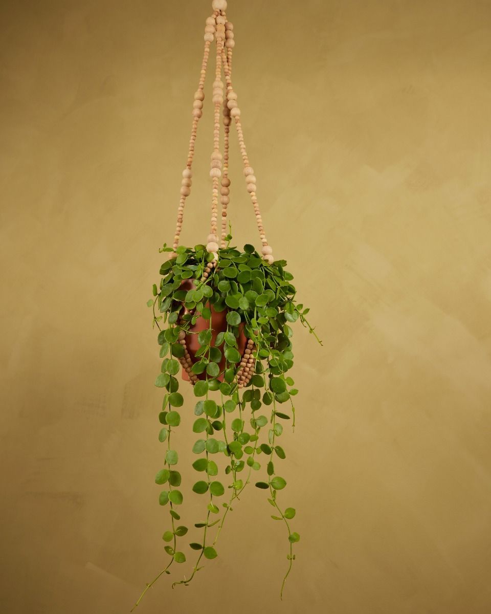 Terry Hänger Natur 80 cm