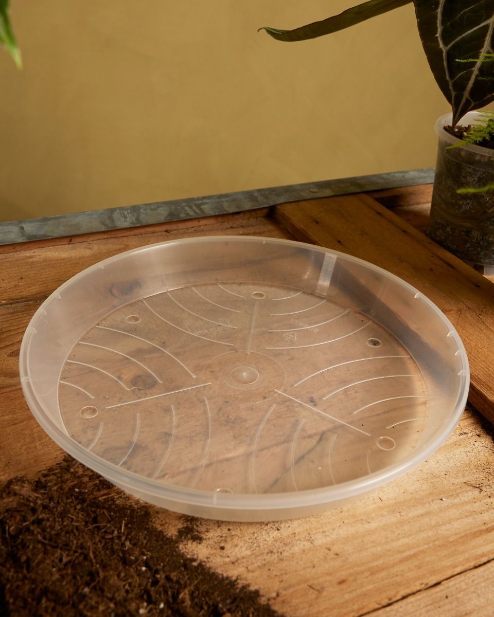 Pflanzschale Transparent Ø 27 cm