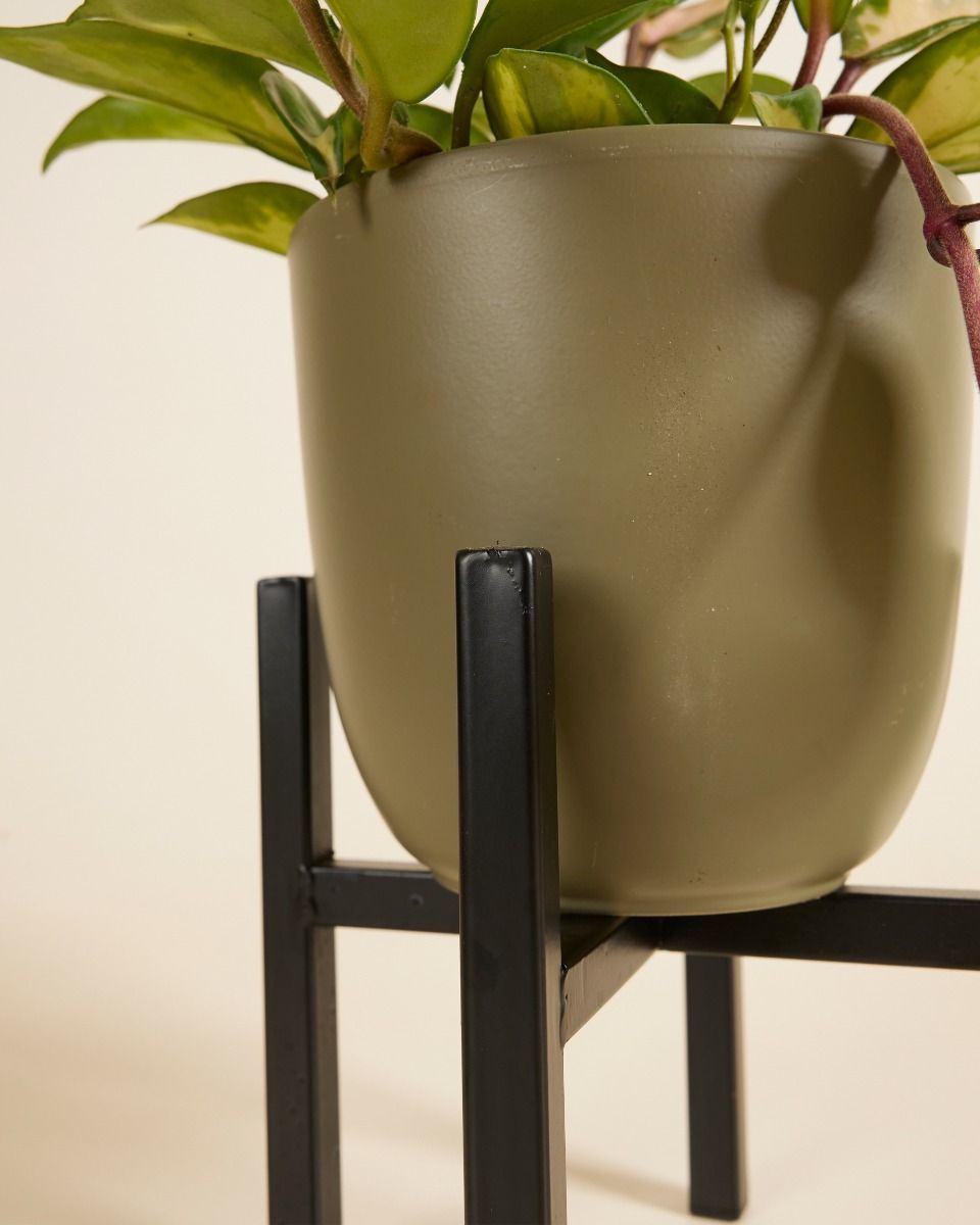 Paula Topfgestell  Schwarz 16 cm