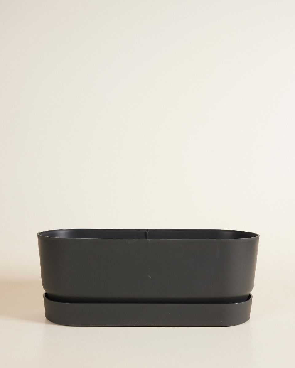 Elho Miles Ovaler Topf Schwarz 50 cm