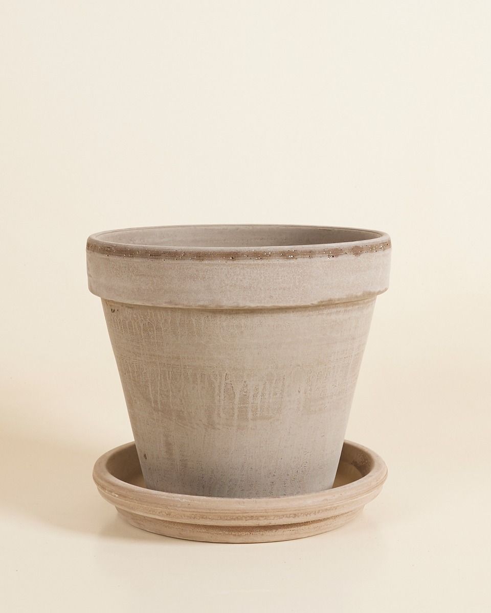 Grau Terrakotta Topf Ø 22 cm