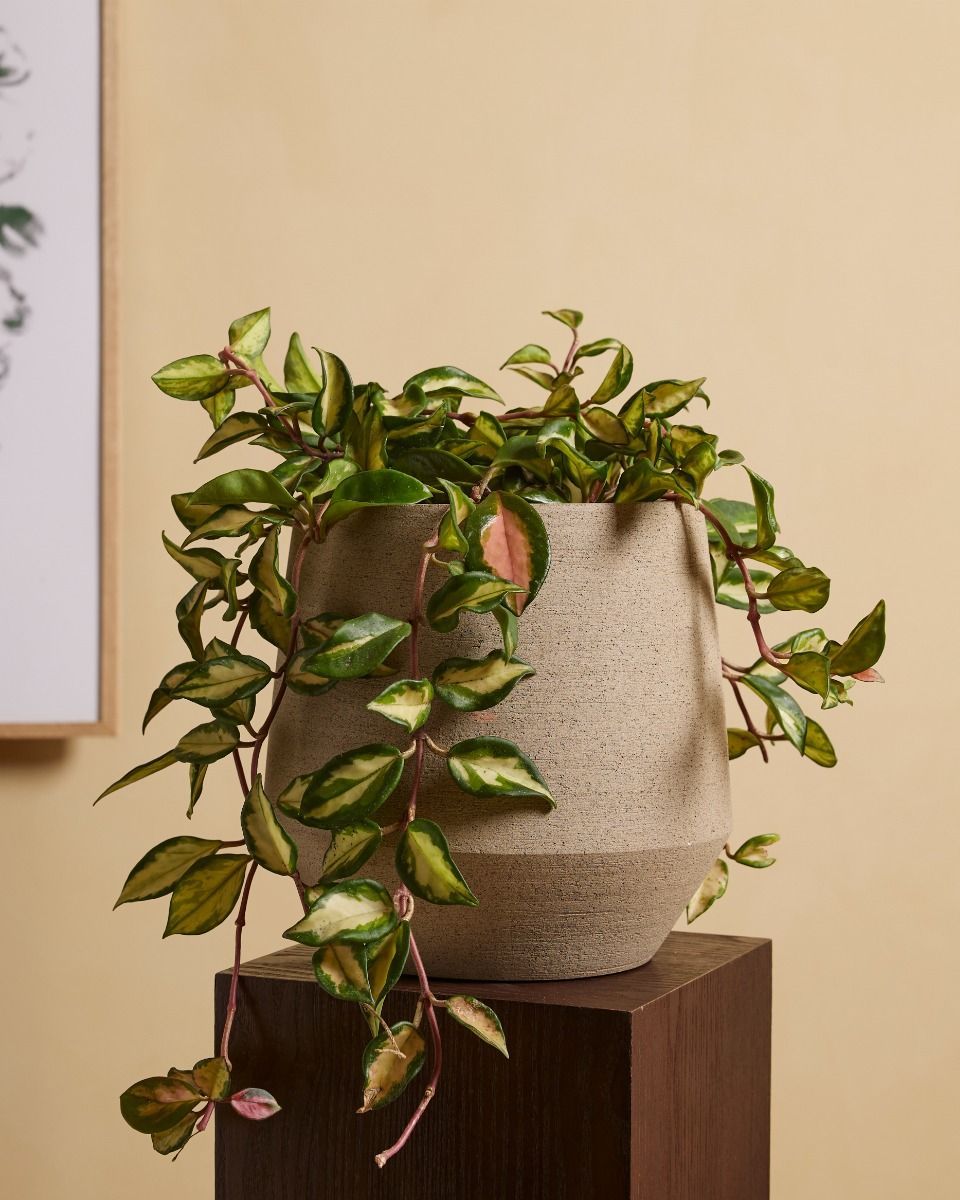 Hubert Topf Taupe Ø 19 cm