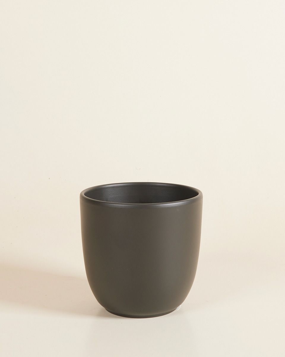 Lexi Topf Schwarz Ø 12.5 cm