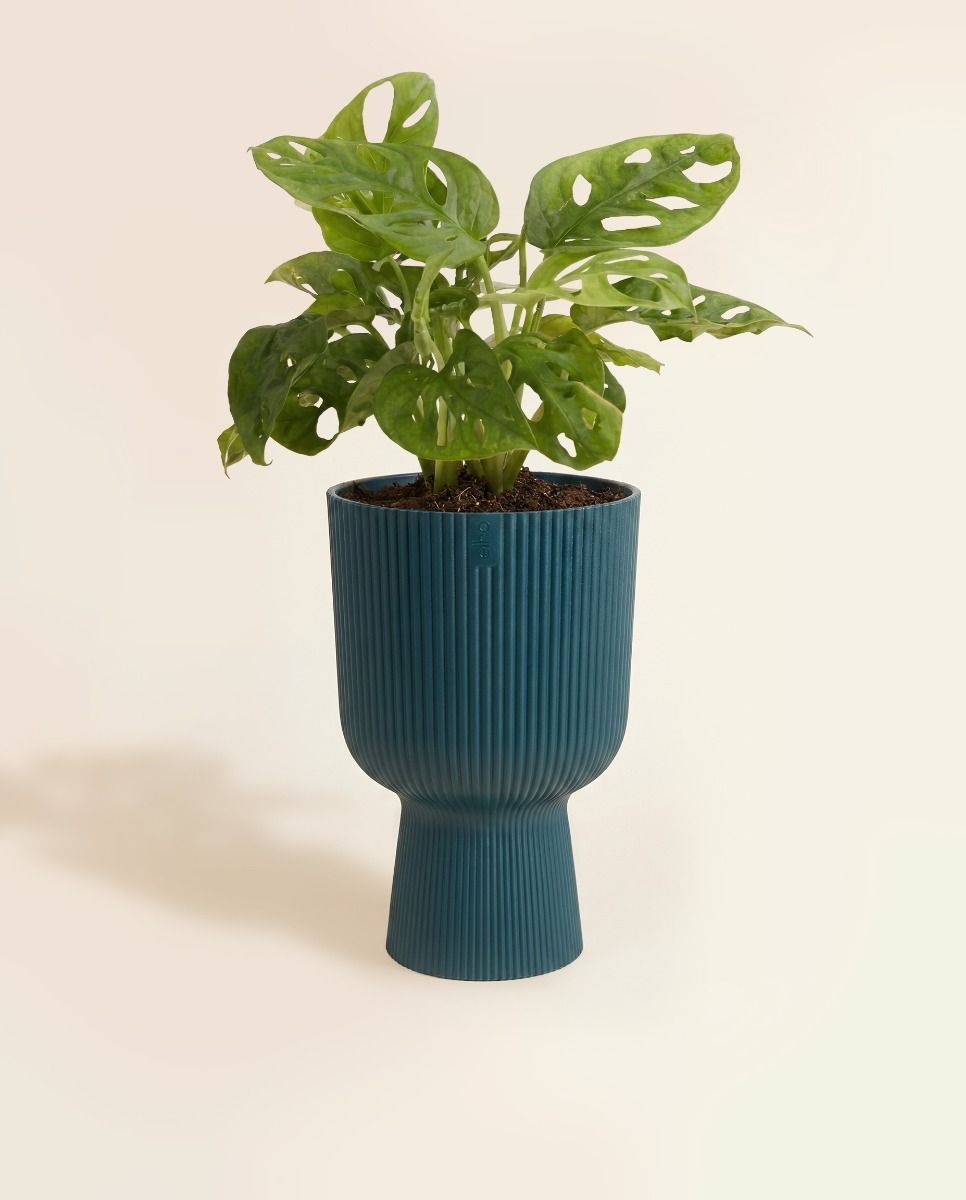Elho Vibes Fold Ø 14 cm
