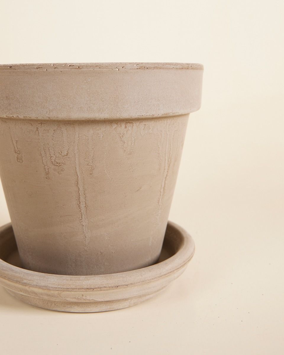 Grau Terrakotta Topf Ø 16 cm