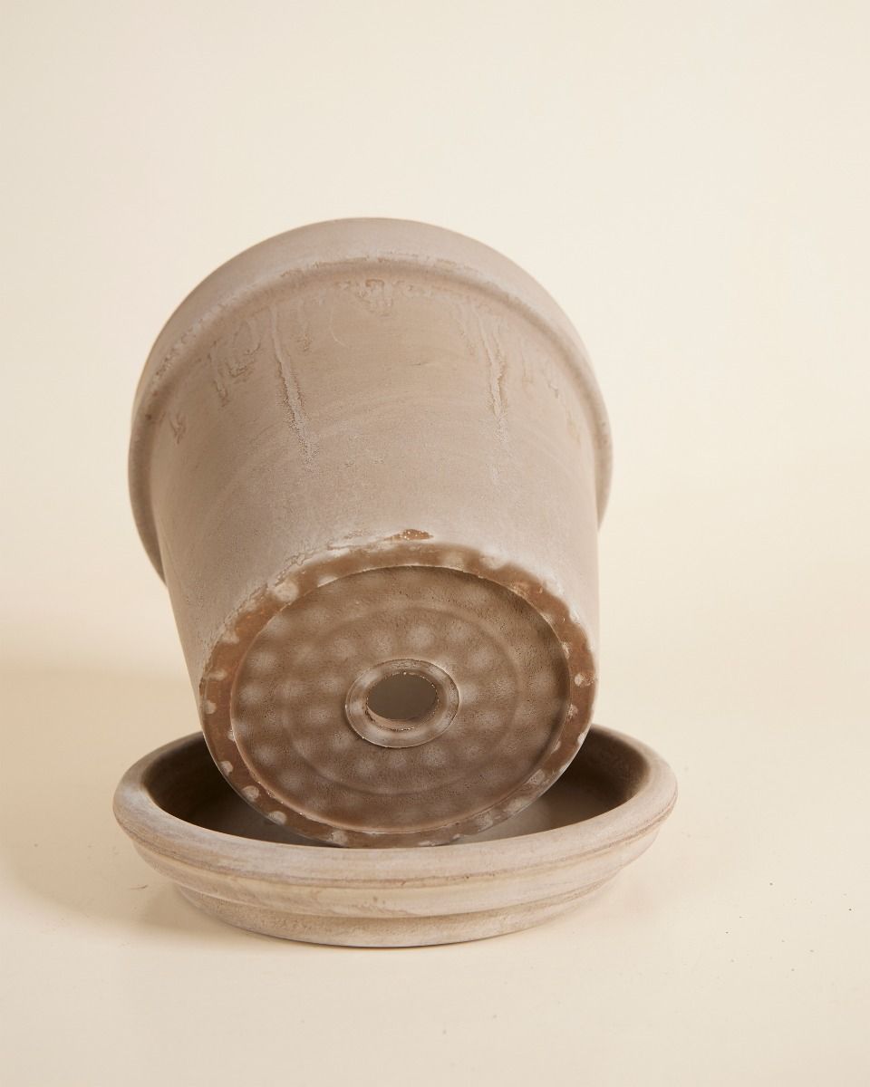 Grau Terrakotta Topf Ø 16 cm