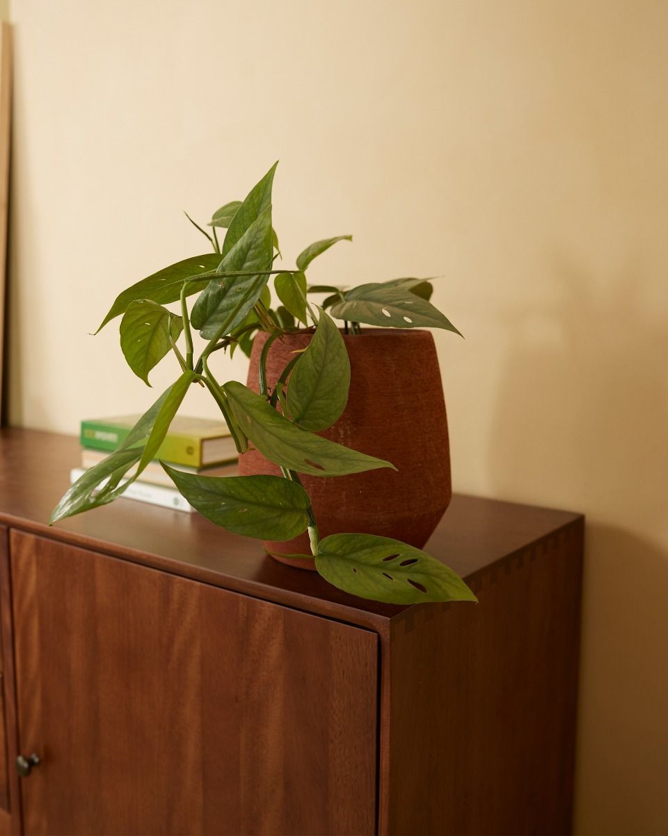 Hubert Topf Terra Ø 13.5 cm
