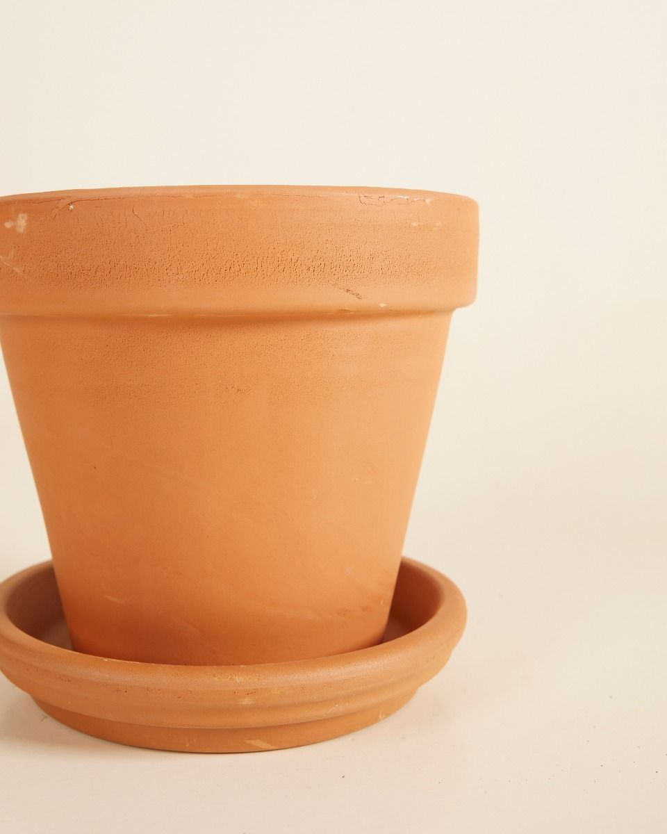 Orange Terrakotta Topf Ø 14 cm