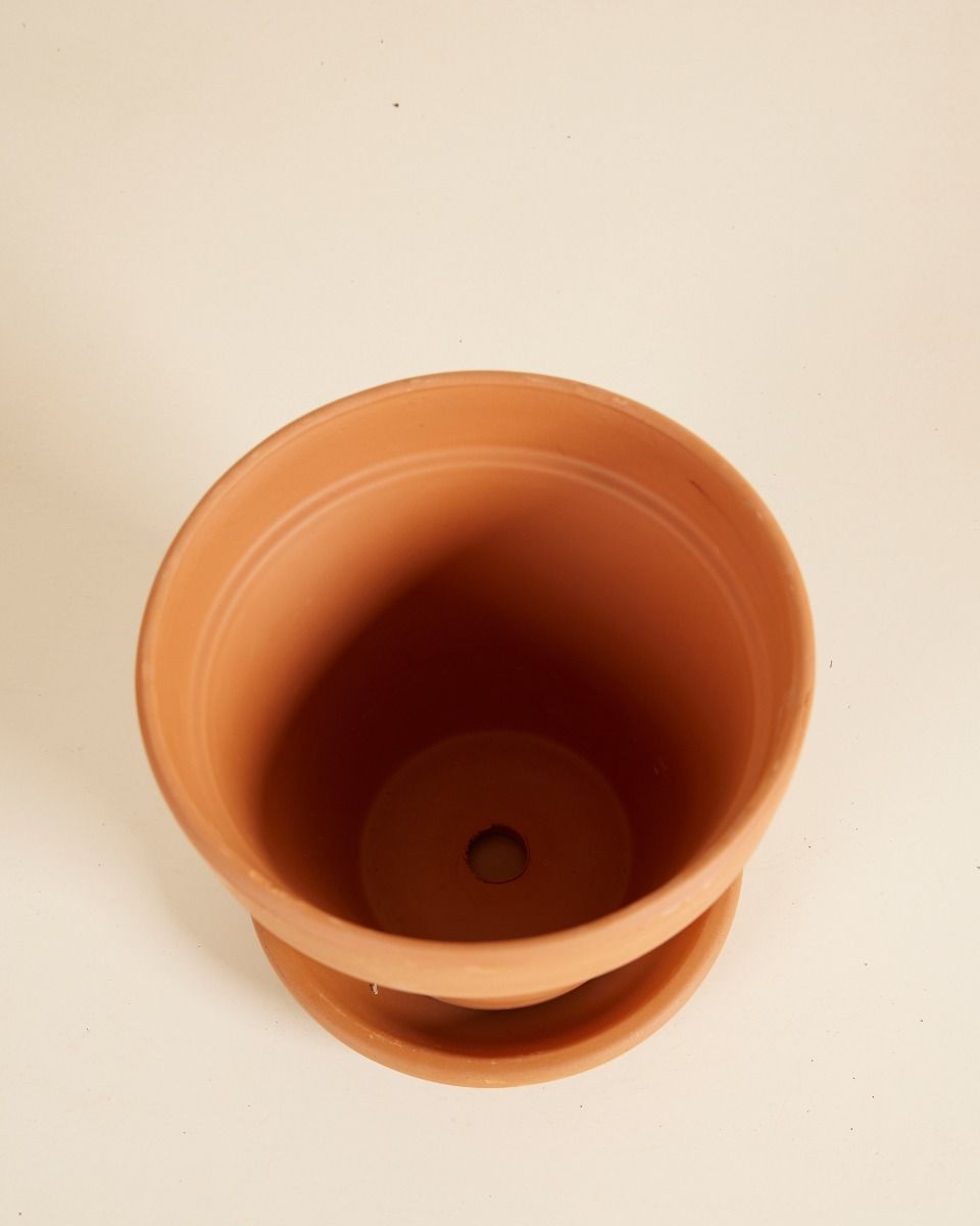 Orange Terrakotta Topf Ø 14 cm