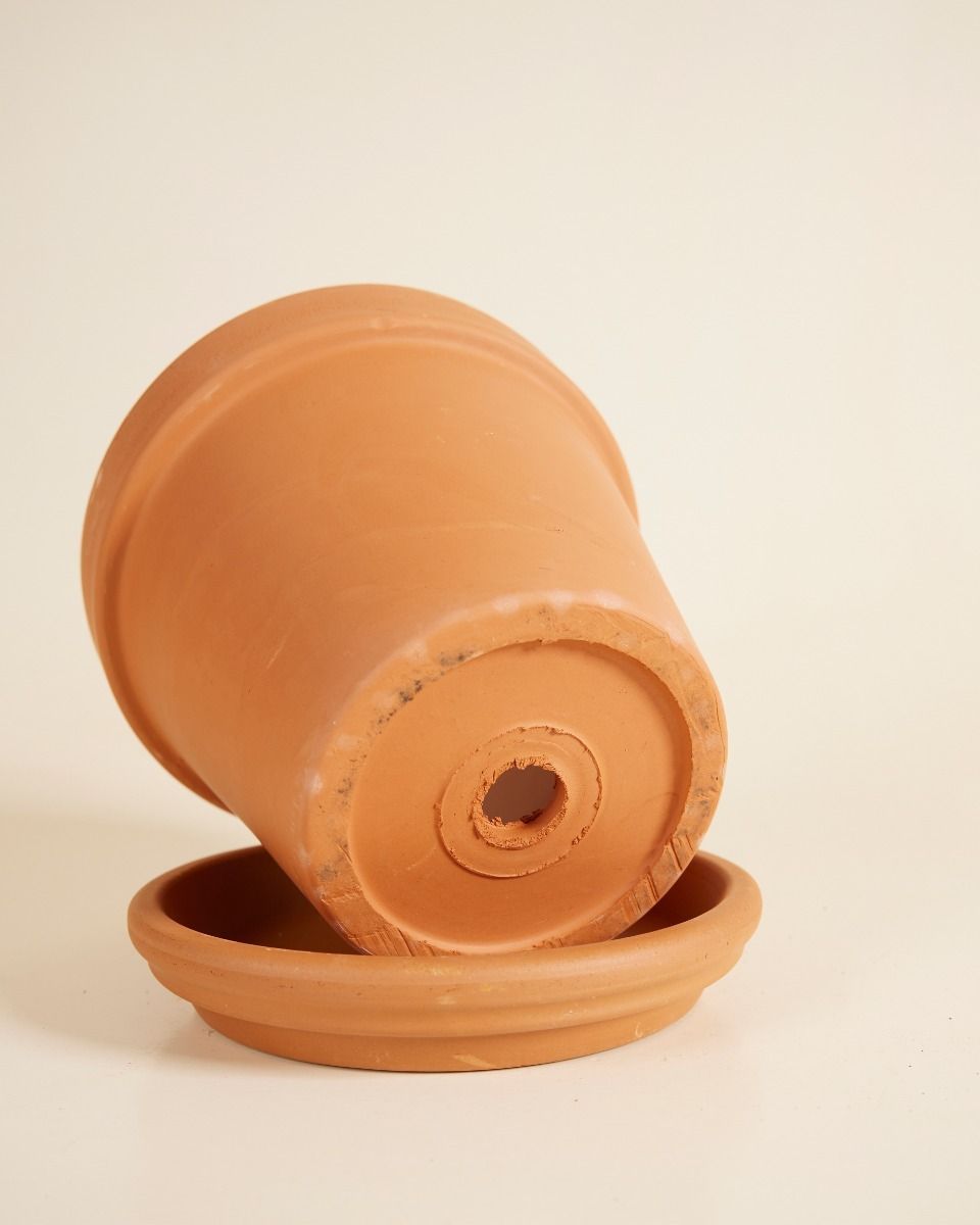 Orange Terrakotta Topf Ø 14 cm