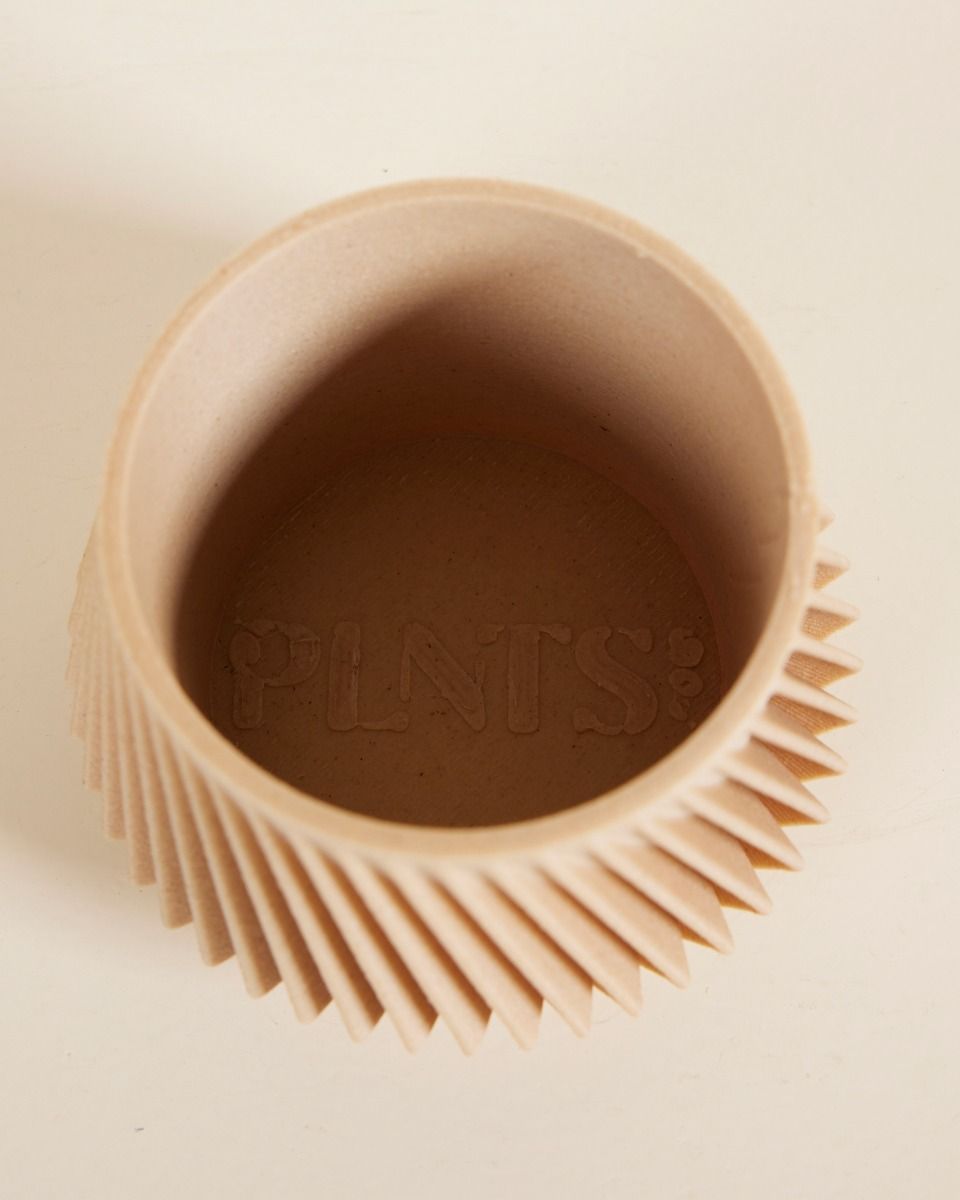 Baby Robin Wood Topf Zigzag Ø 5.5 cm