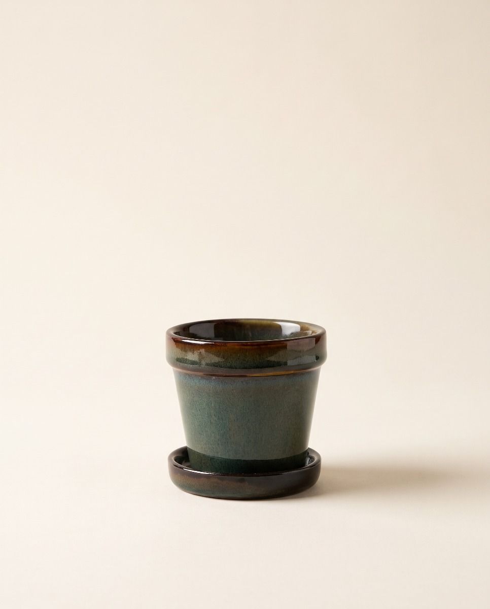Baby Clint Pot with Saucer Green Ø 7.5 cm