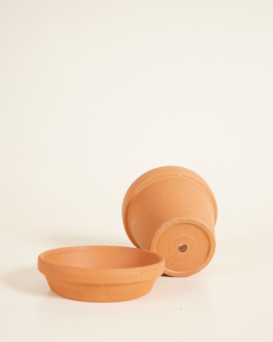 Baby Orange Terrakotta Topf Ø 9 cm