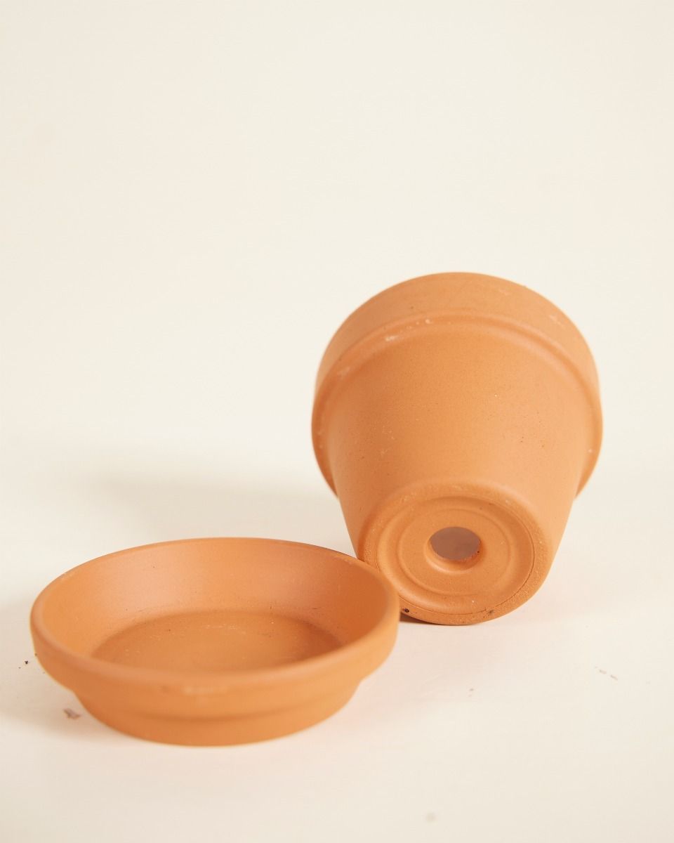Baby Orange Terrakotta Topf Ø 5 cm