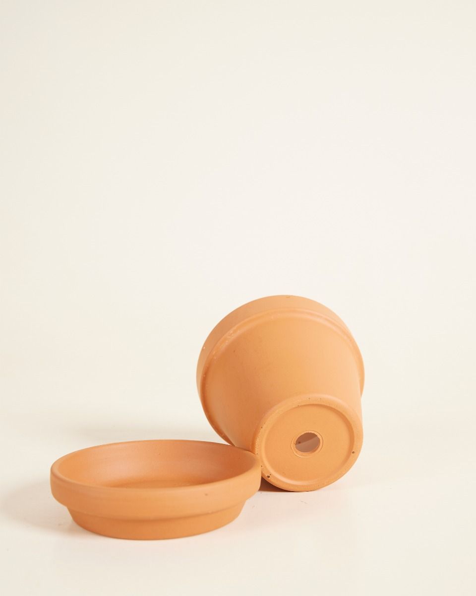 Baby Orange Terrakotta Topf Ø 8 cm