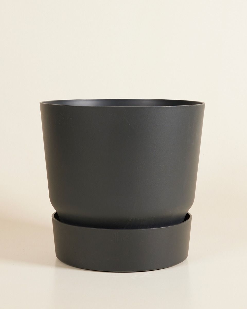 Elho Miles Runder Topf Schwarz 24 cm