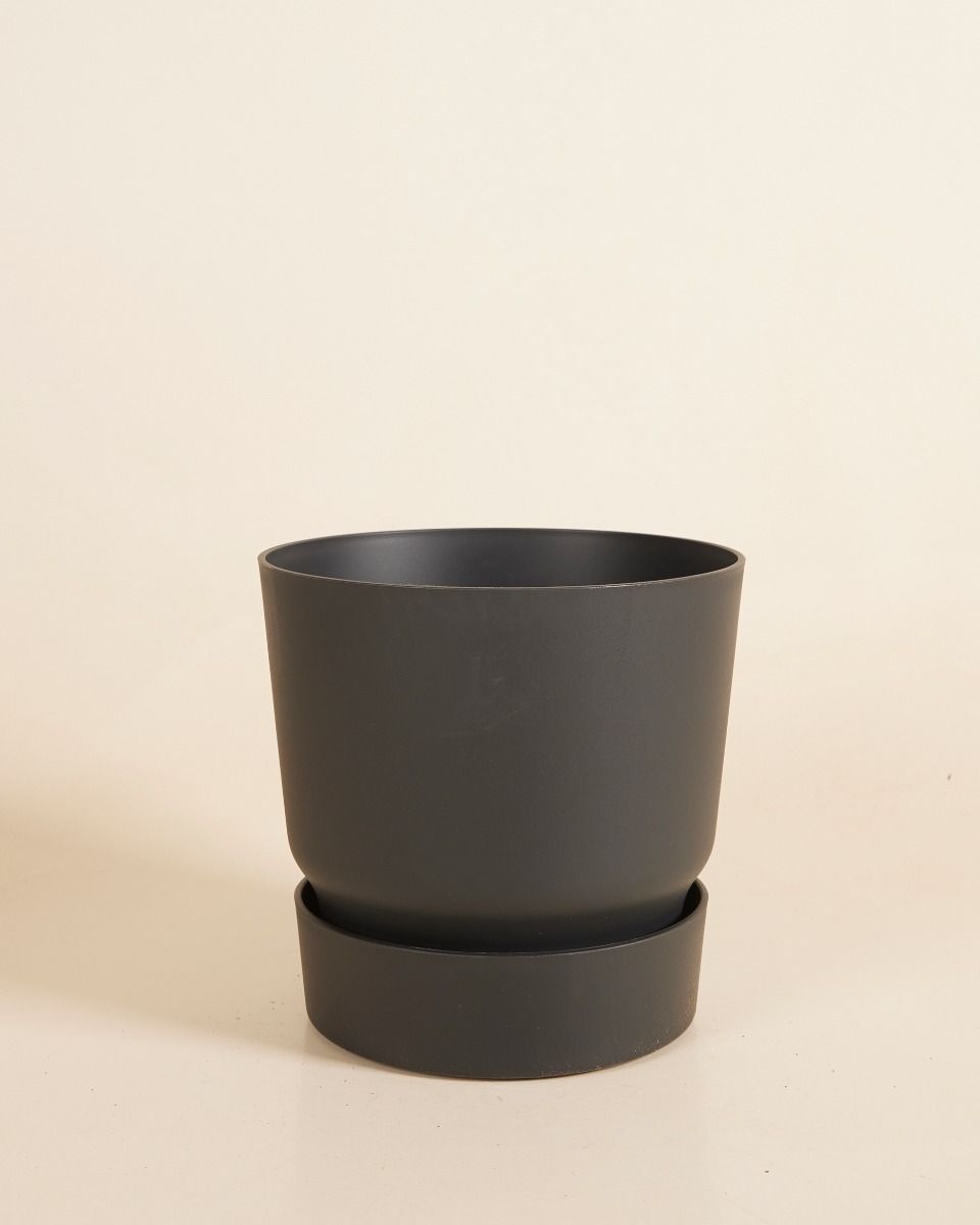 Elho Miles Runder Topf Schwarz Ø 18.5 cm