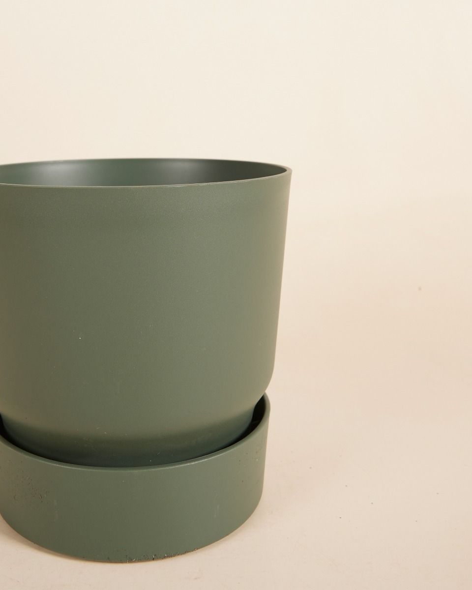 Elho Miles Runder Topf Grün Ø 18.5 cm