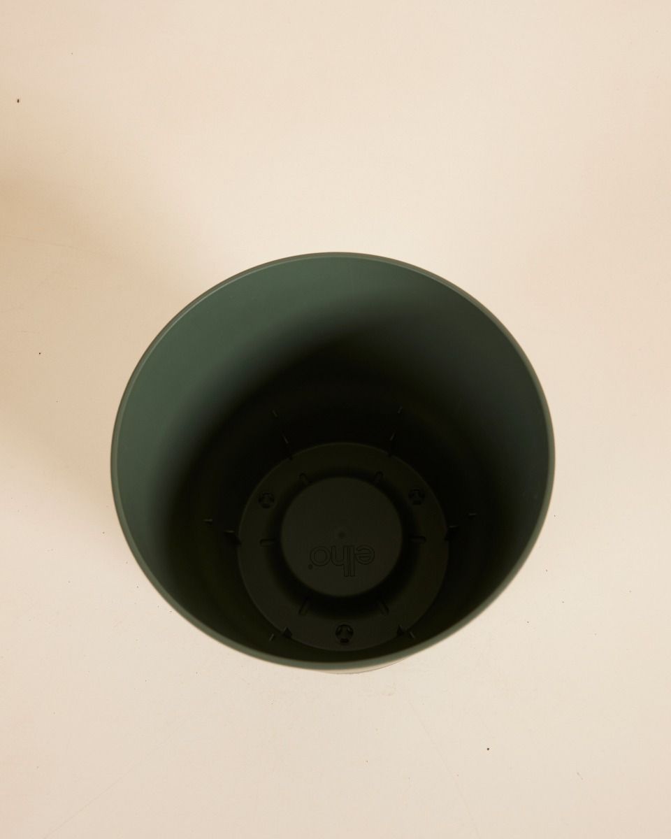 Elho Miles Runder Topf Grün Ø 18.5 cm