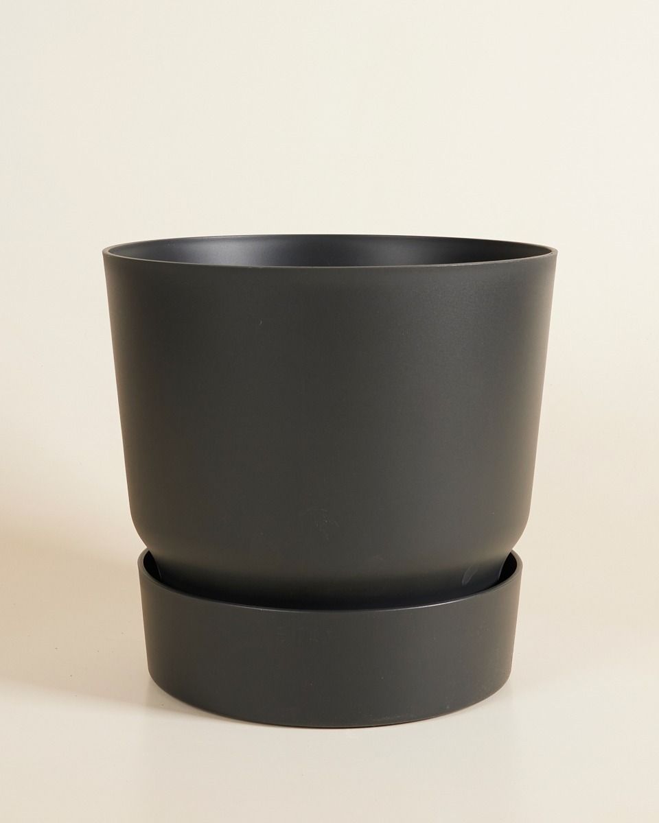 Elho Miles Runder Topf Schwarz 30 cm
